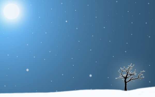 Wallpaper Desktop, Tree, Pc, Last, Cool, Wallpaper, Background, Images, Download, Abstract, Free, Winter, 1680×1050