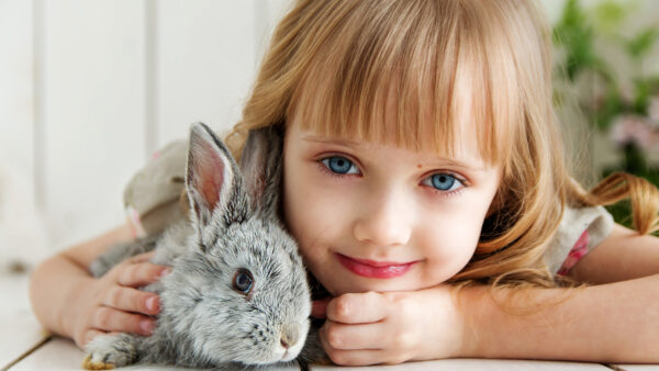 Wallpaper Rabbit, Girl, Cute, Witjh