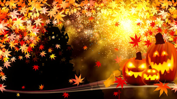 Wallpaper Halloween, Desktop, Colorful, Beautiful, Happy, Pumpkin