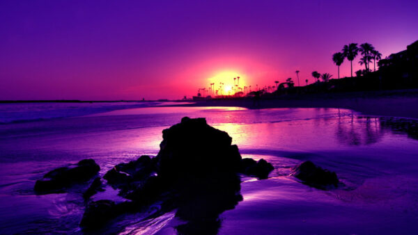 Wallpaper Beach, Desktop, Purple, Sky, Under, During, Nature, Sunset