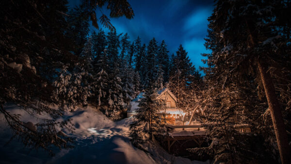 Wallpaper Mobile, Surrounded, Tree, Forest, Nighttime, House, Covered, Snow, Christmas, Fir, Winter, Desktop, During