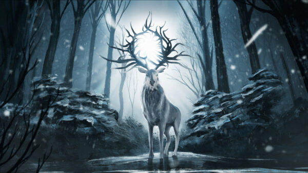 Wallpaper Bone, Snow, Shadow, And, Deer, Forest