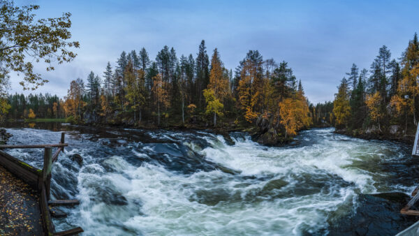 Wallpaper Nature, Finland, Forest, River, During, Fall, Desktop