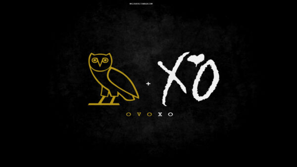 Wallpaper Owl, Desktop, Ovoxo, Drake
