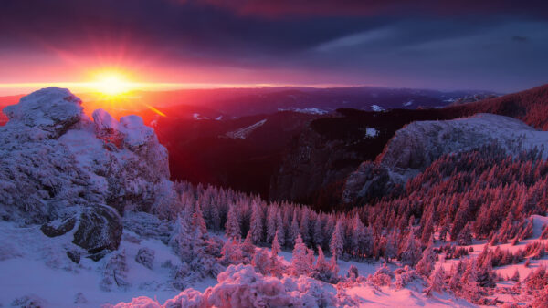 Wallpaper Sunrays, Desktop, Covered, Sky, Mobile, Snow, Forest, Trees, Rocks, Nature, Black, Background
