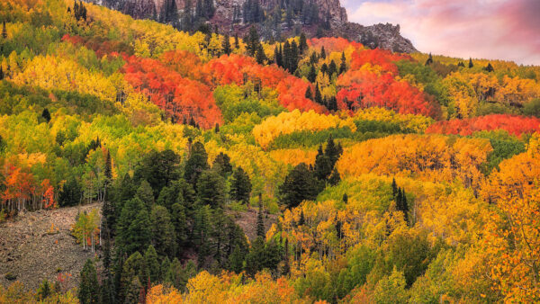Wallpaper San, Forest, Colorado, Mountains, Juan, Fall, Nature, Desktop