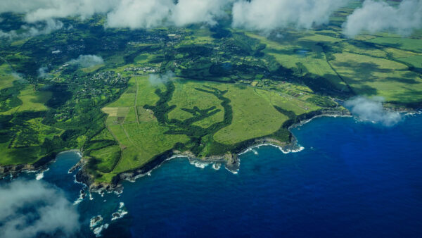 Wallpaper View, Fog, Land, Trees, Aerial, Ocean, Nature, House, Green, Forest, Mobile, Desktop