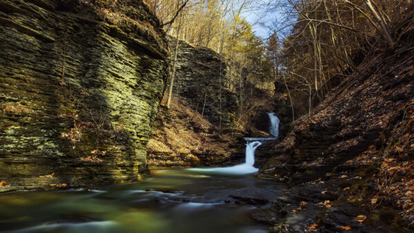 Wallpaper Green, Forest, Rocks, Water, Trees, Mobile, Nature, Desktop, Stream, Background