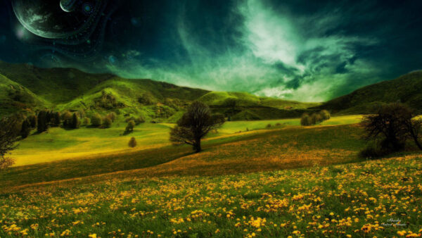 Wallpaper Landscape, Field, Flowers, Yellow, Hills