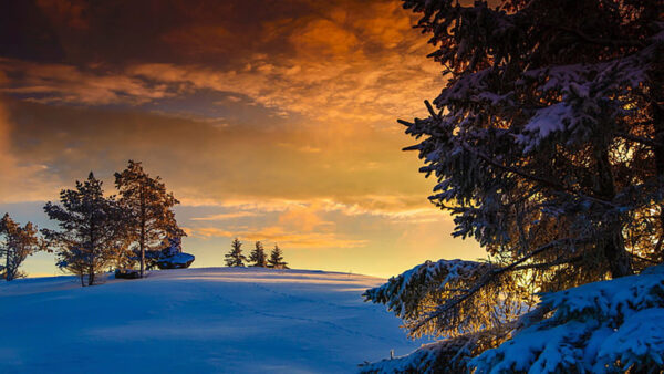 Wallpaper Snow, Under, Winter, Frozen, Sky, Nature, Trees, During, Field, Sunset, Blue
