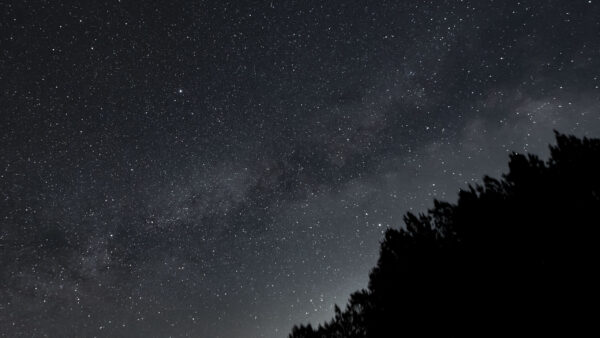Wallpaper Silhouettes, Nighttime, Starry, Nature, Forest, Sky