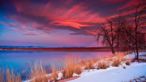 Wallpaper Snow, Sky, Ocean, Under, Covered, Blue, Grass, Water, Land, Clouds, Trees, Black, Body, Dry, Calm