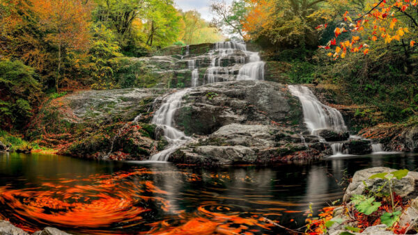 Wallpaper Fishes, Green, Trees, Yellow, Waterfalls, Rocks, Water, Stream, Autumn, Orange