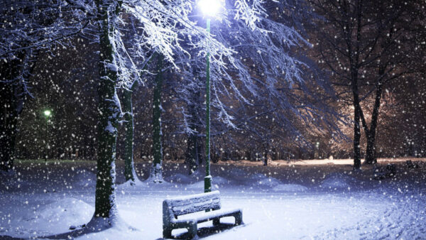 Wallpaper Streetlight, Bench, Photography, Trees, Wood, Forest, Snowfall
