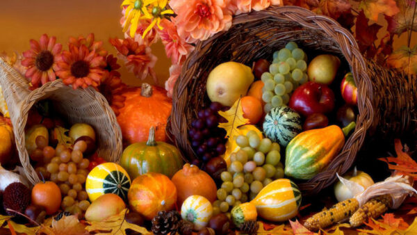 Wallpaper Grapes, Autumn, Thanksgiving, Orange, Leaves, Fruits, Colorful, Flowers, Pumpkin