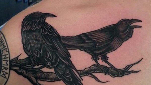 Wallpaper Ravens, Black, For, Odins, Awesome, Men, Tattoos