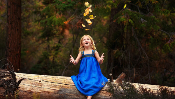 Wallpaper Blue, Dress, Girl, Tree, Sitting, Trunk, Cute, Wearing, Looking, Little