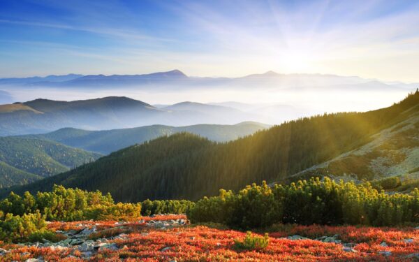 Wallpaper Mountains, Forest, Sunrise