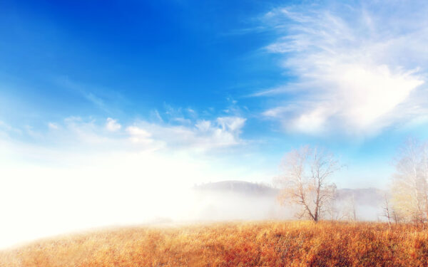 Wallpaper Trees, Cloud, Landscape