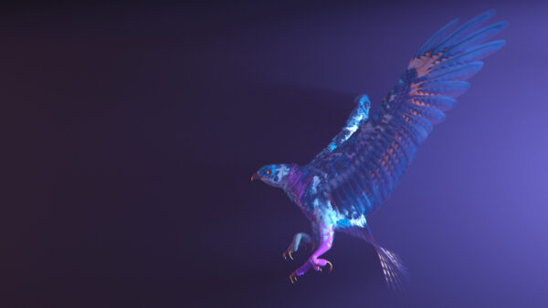 Wallpaper Purple, Bird, CGI