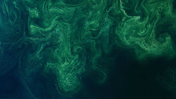 Wallpaper Desktop, Aerial, Sea, Surface, View, Abstract, Mobile