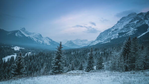 Wallpaper Mobile, Forest, Covered, And, Mountain, Desktop, Fog, Landscape, Winter, White