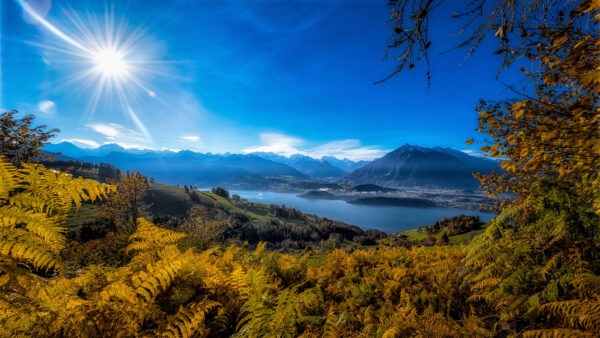 Wallpaper Sky, Mobile, Blue, Background, Fern, Mountain, Nature, And, With, Sunbeam, Desktop