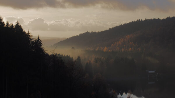 Wallpaper Fog, Between, Mobile, Hills, Nature, Covered, Trees, Green, Desktop