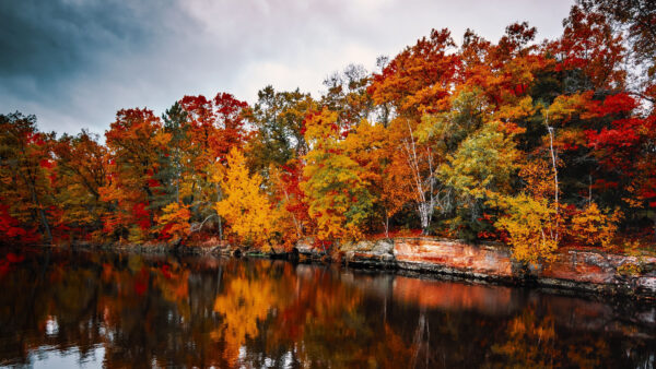 Wallpaper Water, Mobile, White, Leafed, Tree, Green, Clouds, Fall, Reflection, Yellow, Sky, Under, Nature, Autumn, Orange, Red, Desktop, Branches