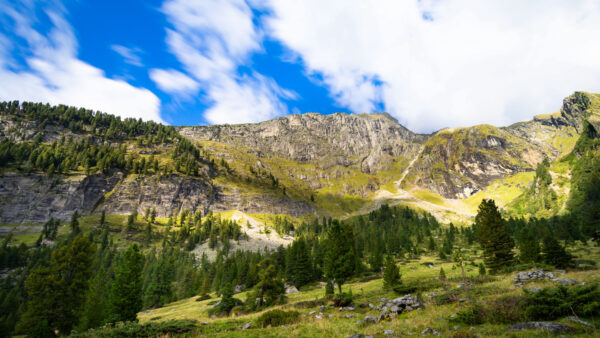 Wallpaper Under, Trees, Slope, Sky, Desktop, Nature, Mobile, Cloudy, Mountain, Blue