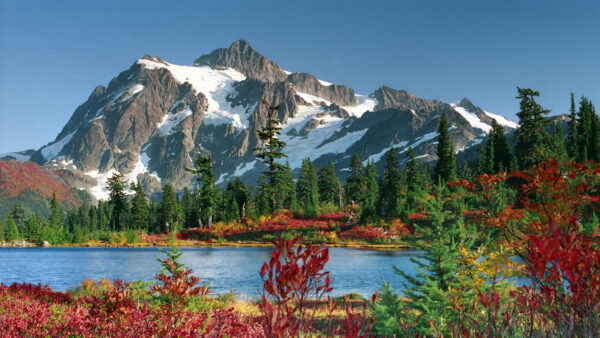 Wallpaper River, Mountains, Flowers, Covered, With, Spring, Background, Desktop, Snow, Colorful, View, Surrounded, Landscape