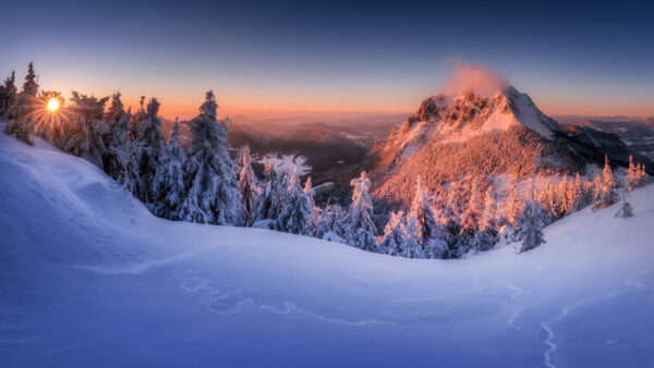 Wallpaper Trees, Sky, During, Blue, Winter, Mountains, Nature, Snow, Covered, Desktop, Under, And