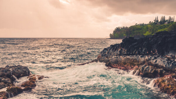 Wallpaper Coast, Nature, Trees, Desktop, Ocean, Rocks, Sky, Clouds, Sea, Stones, Mobile, Waves