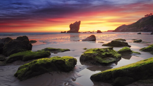 Wallpaper Algae, Covered, Silhouette, Mobile, Mountain, Nature, Stones, Background, Sand, Rocks, Beach, Desktop