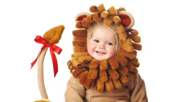 Wallpaper Woolen, Lion, Wearing, Dress, Smiley, Cute, Desktop, Baby