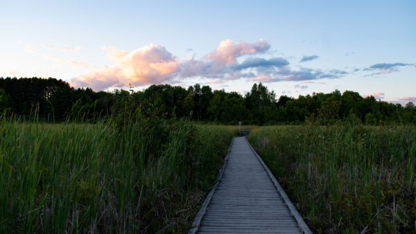 Wallpaper Dock, Field, Under, Landscape, And, Path, View, Blue, White, Mobile, Wood, Clouds, Grass, Between, Sky, Green, Nature, Desktop, Trees