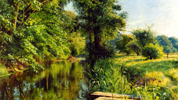 Wallpaper Water, Under, Trees, Green, Plants, Nature, Reflection, Lake, Clouds, Bushes, Sky, White, Between