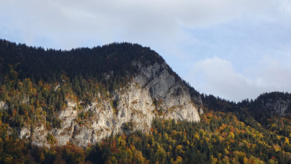 Wallpaper Background, Trees, Slope, Mobile, Blue, Desktop, White, Mountain, Sky, Colorful, Rock, Autumn