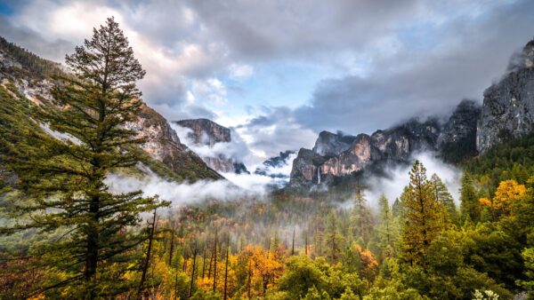 Wallpaper White, Blue, Sky, Under, With, Yellow, Clouds, Forest, Fog, Covering, Desktop, Mountains, Mobile, Rock, Trees, Autumn, Green