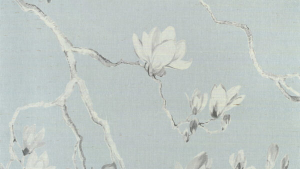Wallpaper Blossom, Desktop, Jeffries, Phillip