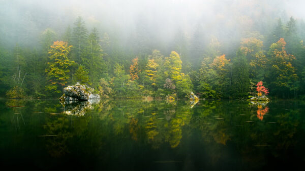 Wallpaper River, Yellow, Trees, Green, With, Nature, Beautiful, Forest, Fog, Autumn, Reflection