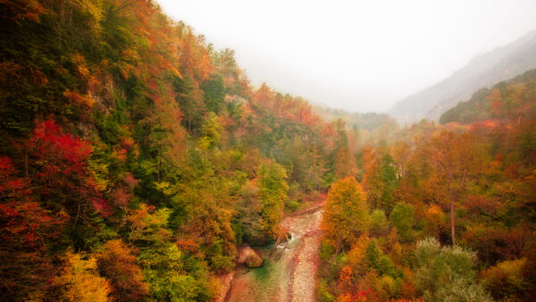 Wallpaper View, Road, Foggy, Forest, Mountain, Trees, Colorful, Autumn, Aerial
