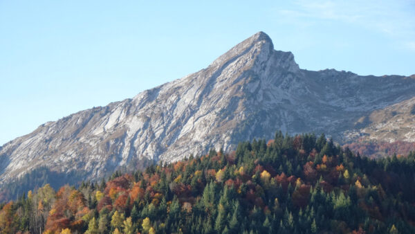 Wallpaper Background, Mountains, Sky, Slope, Blue, Desktop, Forest, Trees, Nature, Mobile, Autumn, Rock, Colorful