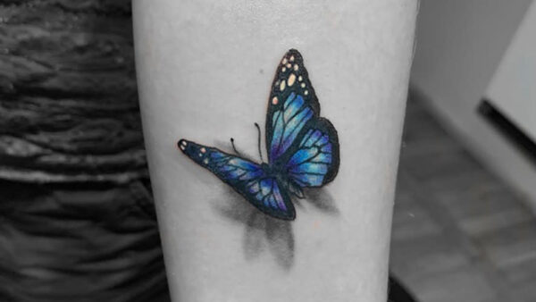 Wallpaper Hand, Tattoo, Butterfly, Blue, Black