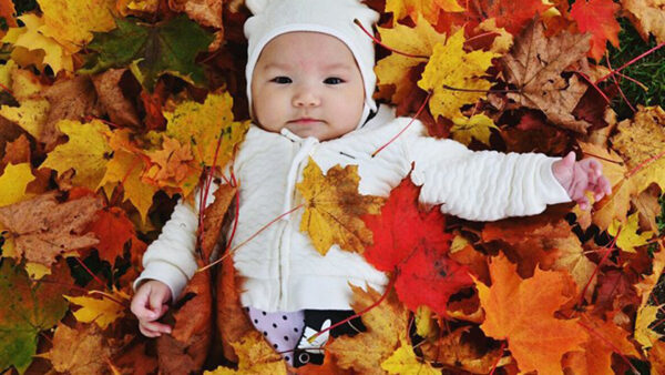 Wallpaper Cute, Wearing, Down, Dress, Child, Baby, Colorful, Leaves, Lying, White, Autumn