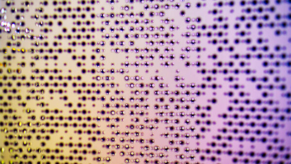 Wallpaper Dots, Yellow, Blur, Desktop, Light, Purple, Texture, Mobile