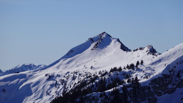 Wallpaper Blue, Snow, Trees, Slope, Green, Mountain, Background, Sky, Winter