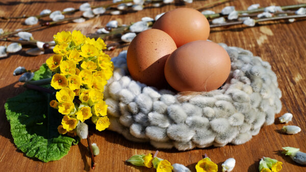 Wallpaper Shells, Happy, Wood, Flowers, Easter, Yellow, Brown, Eggs, Table