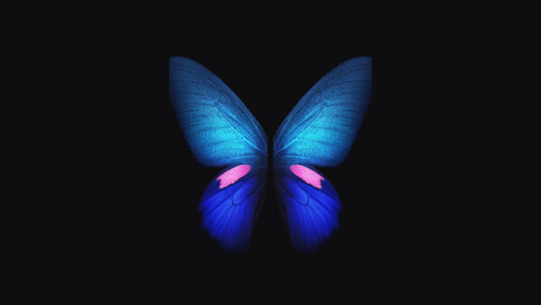 Wallpaper Blue, Samsung, Fold, Galaxy, Butterfly