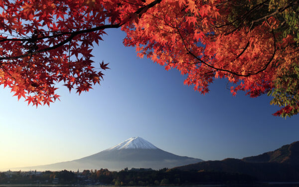 Wallpaper Maple, Fuji, Japan, Autumn, Mount